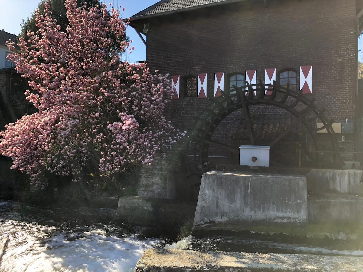 Historische Wassermühle in Brüggen